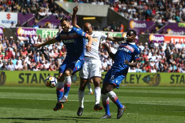 岁的佩罗内 岁的佩罗内