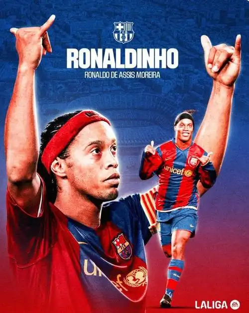 纯职业化的 纯职业化的