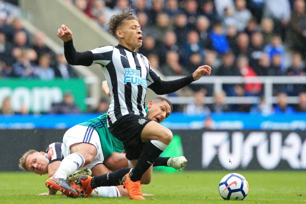 像是用TA 像是用TA