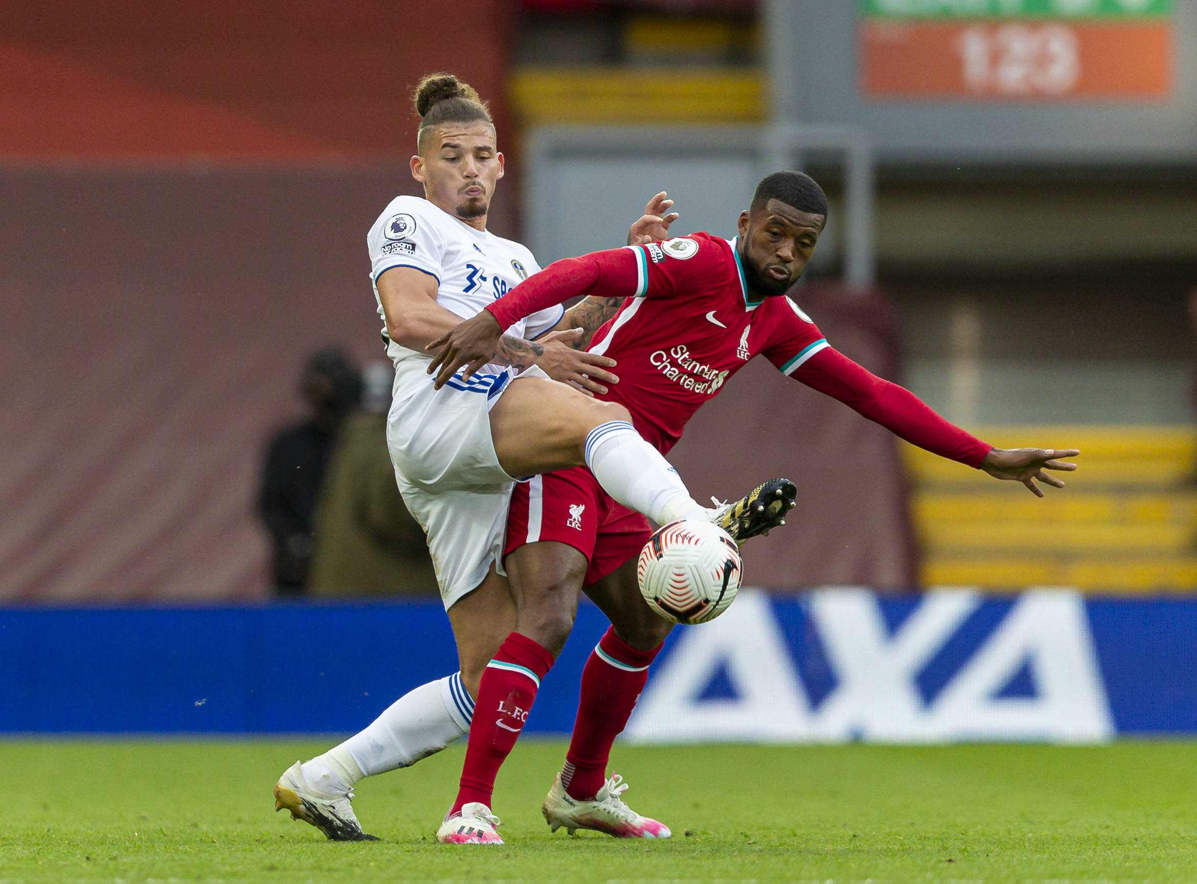 球队的阵容 球队的阵容